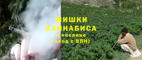 крисы Аркадак