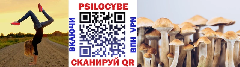 Галлюциногенные грибы прущие грибы Озёрск